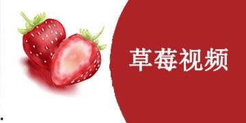 草莓视频国产,本土创新与全球视野的交融